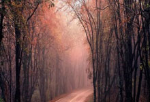 姝莛@两会丨对话张雨霏：让孩子在运动中获得快乐.