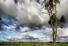 波特：我愿意挺身而出为队友而战 如果能上场我就会打.