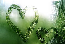 亨里希斯:受伤很可怕 亲人朋友们支撑着我度过康复期.