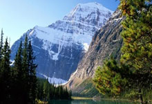 巴赫:奥运赛场“无商业展示”限制或松动 拳击有望重返洛杉矶奥运会.