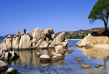 PG电子游戏:东契奇里夫斯.